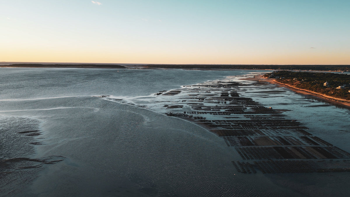 Aerial view of a coastal area during sunset with a dock and buildings.