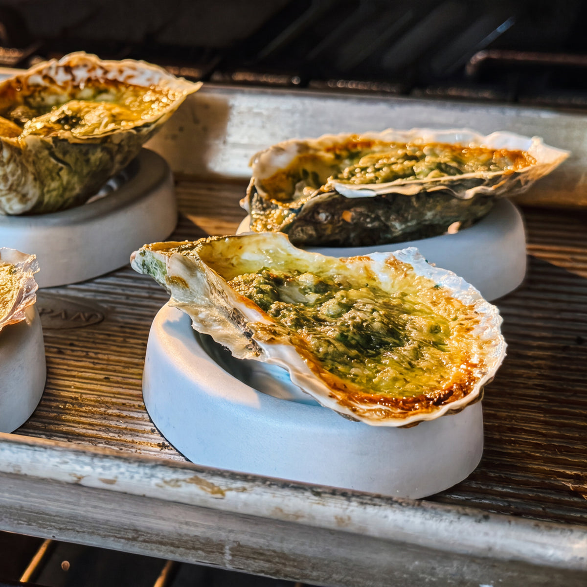 Oyster Coasters