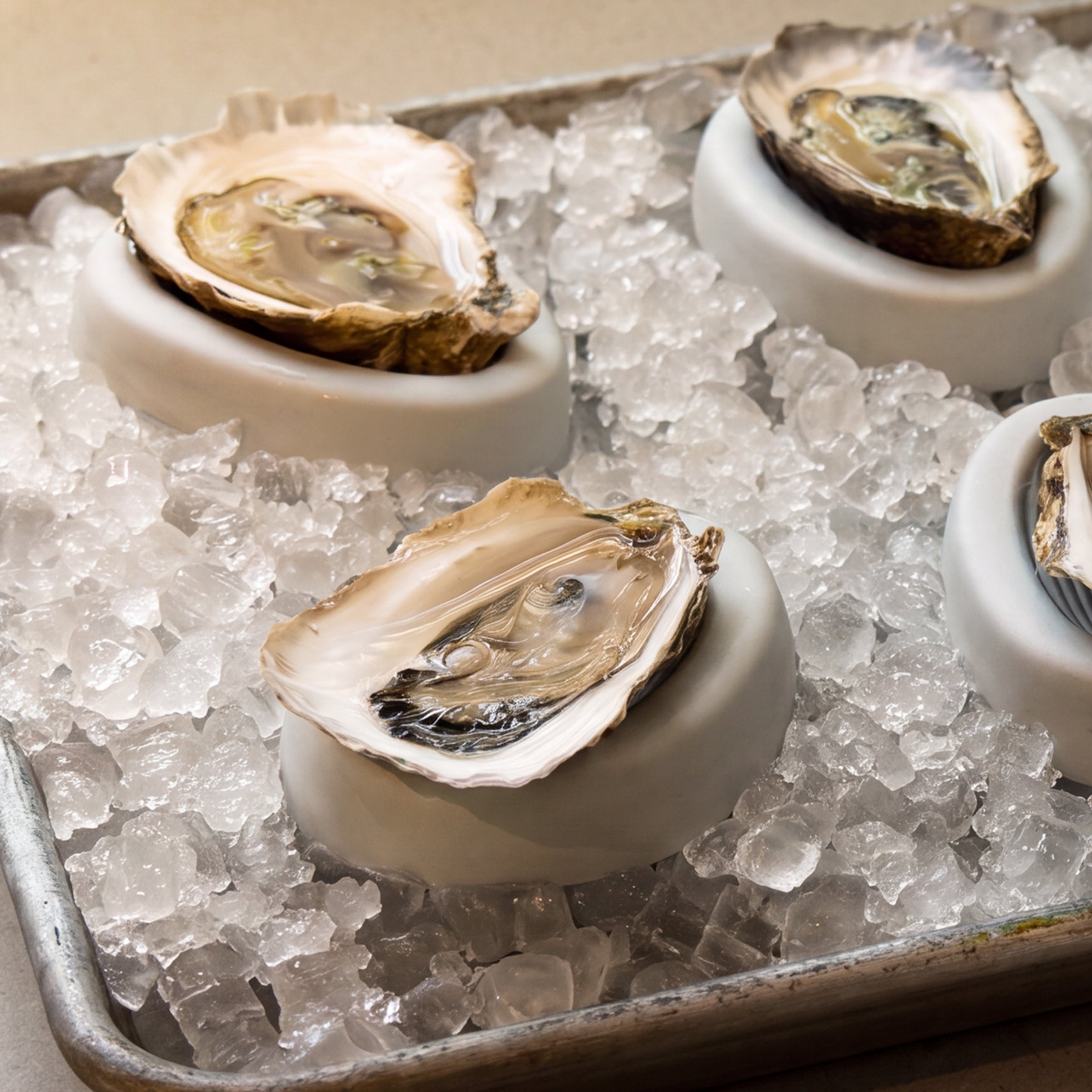 Oyster Coasters